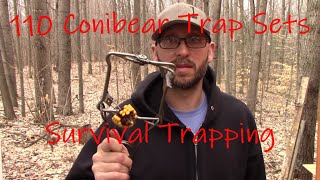 Survival SHTF Trapping Conibear 110 Three Squirrel Sets amp Baits [upl. by Artimas]