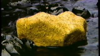 Andy Goldsworthy  Stone Wood Water  The Scaur River 1 [upl. by Bary857]