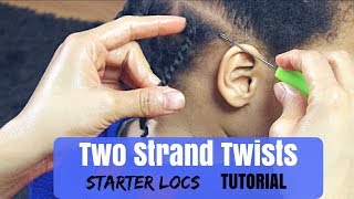 STARTER LOCS TUTORIAL TWO STRAND TWISTS KIESHA ARIELLE [upl. by Baggott]