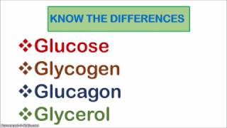 Glucose Glycogen Glucagon and Glycerol [upl. by Milzie]