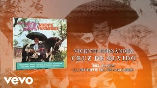 Vicente Fernández  Cruz de Olvido Cover Audio [upl. by Waldner]