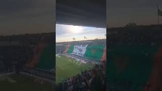 FIESTA BANFIELD VS LANÚS HOY [upl. by Fleischer]