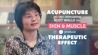 How does acupuncture work  RMIT University [upl. by Warwick]