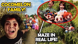 DRONE CATCHES CREEPY JJ FAMILY IN A MAZE CURSED JJ INSIDE REAL LIFE MAZE [upl. by Darbee]