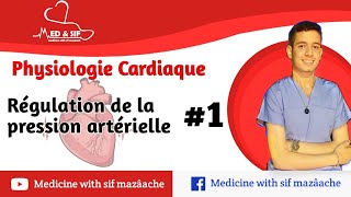 41 Régulation de la Pression Artérielle partie 01  Physiologie 2ème MED [upl. by Anirec]