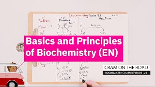 Biochemistry Basics and Principles [upl. by Kinnie]