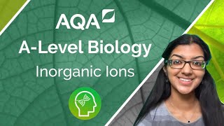 AQA A Level Biology Inorganic Ions [upl. by Otcefrep43]