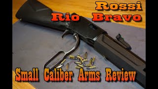 Rossi Rio Bravo Lever Action22 Caliber Cowboy Fun [upl. by Ythomit]