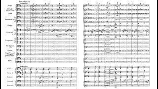 An der schönen blauen Donau Op 314  J Strauss II Score [upl. by Valerye467]