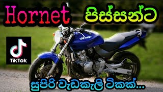 Honda Hornet Stunt amp Burnout  Tik tok  Sri Lanka [upl. by Itsirc]