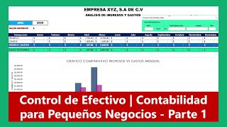 PARTE 1 Como llevar la Contabilidad de un negocio pequeño en Excel Gratis [upl. by Ahsenet]