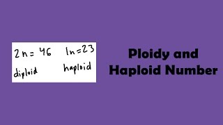 Ploidy and Haploid Number [upl. by Nivag307]