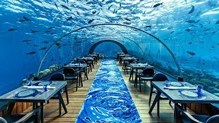 The Most Expensive Restaurant In The World [upl. by Schonfield]