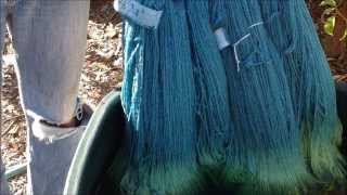 Indigo Dyeing full video [upl. by Akyre]