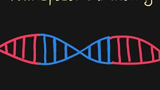 Introduction to Transposons [upl. by Sneed]