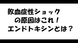 敗血症性ショックの原因はこれ！ そもそも敗血症性ってなに？ [upl. by Renate616]