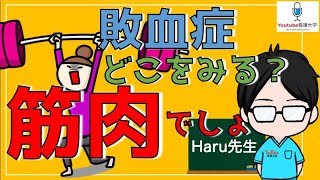 【看護師必見】敗血症どこをみる？筋肉でしょ [upl. by Kennett]