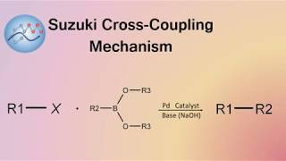 Suzuki CrossCoupling Mechanism  Organic Chemistry [upl. by Rezeile]