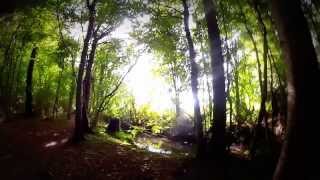 cabane dans les arbres Laizon [upl. by Hawkie674]