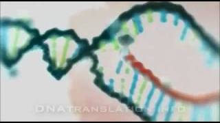 Protein synthesis DNA transcription translation and folding [upl. by Aihsenet]