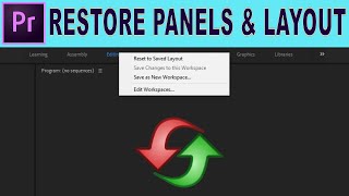 Restore Missing Panels and Adjust Layout  Adobe Premiere Pro Tutorial [upl. by Nicki]