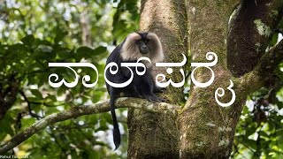 VALPARAI  2nd PUC  KANNADA LESSON EXPLAINED [upl. by Suanne543]