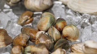 How To Clean and Prepare Clams [upl. by Emelia777]