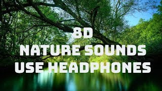 🎧 8D Nature Sounds  Relaxing Nature ASMR  USE HEADPHONES [upl. by Laohcin214]