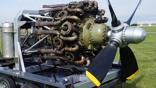 Big Old RADIAL AIRPLANE ENGINES Cold Start and Sound 4 [upl. by Reiners]