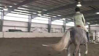 How to Gallop a Horse [upl. by Schwejda]