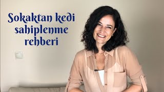 Sokaktan kedi sahiplenme ve sokak kedisi türleri rehberi [upl. by Nahem]