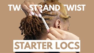 Two Strand Twist Starter Loc Tutorial  DaishaView [upl. by Esemaj]