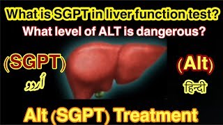 What is Alt SGPT in liver function testWhat level of SGPT is dangerous Alt treatmeint urduhindi [upl. by Feirahs459]