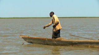 Le Lac Tchad  un patrimoine à préserver [upl. by Roter]