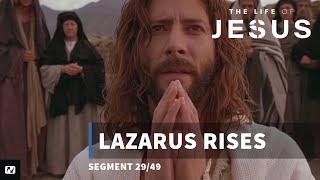 Lazarus Rises  The Life of Jesus  29 [upl. by Alake]