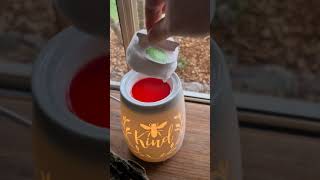 How to use the Scentsy Warmer amp Wax fragrance system 💕 [upl. by Nidorf]