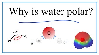 Why is water H2O a polar molecule [upl. by Adnohsat]