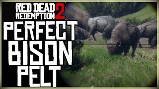 HOW TO GET A PERFECT BISON PELT  RED DEAD REDEMPTION 2 PRISTINE BISON HUNT [upl. by Ahcorb]