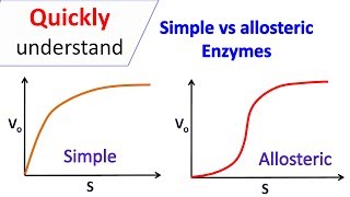 Simple enzymes vs Allosteric enzymes [upl. by Rafaelia287]