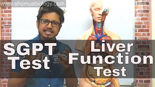 SGPT blood test in Hindi [upl. by Gulgee979]