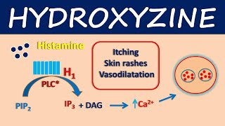 Hydroxyzine  How it works in pruritus and urticaria [upl. by Ellenahs973]