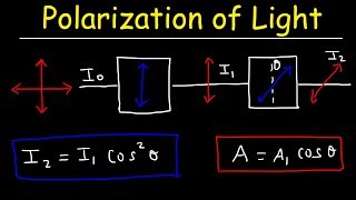 Polarization of light Problems Malus Law  Intensity amp Amplitude  Physics [upl. by Ardnuahsal]