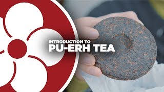 What is PUERH TEA [upl. by Mungam]