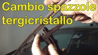 Sostituzione spazzole tergicristallo auto [upl. by Moran501]