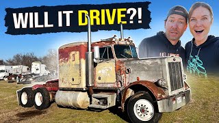 Will it DRIVE Our 1984 359 Peterbilt REVIVAL [upl. by Mateya]