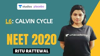 L6 Calvin Cycle  Photosynthesis Complete NCERT Review  NEET 2020 [upl. by Bevers412]