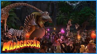 DreamWorks Madagascar  Meet King Julien  Madagascar Movie Clip [upl. by Nyram730]