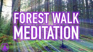 Guided Forest Walk Meditation  Calming and Relaxing Mindfulness Activity [upl. by Xam]