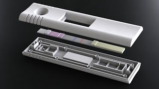 DCN Diagnostics Lateral Flow Assay Development [upl. by Icyaj]