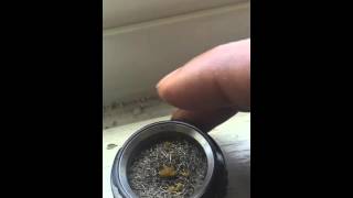 Volcano vaporizer with wax [upl. by Atikir205]